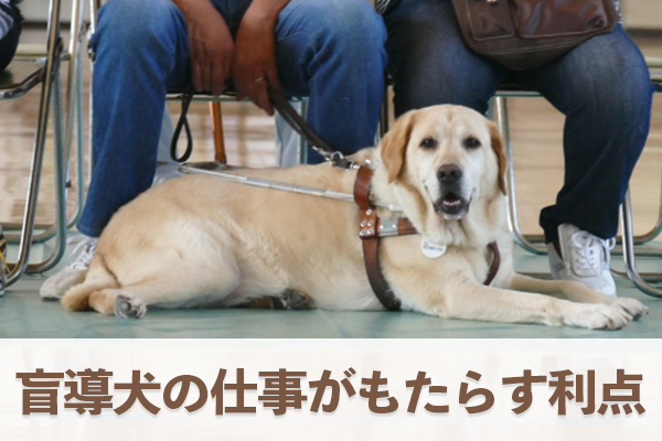盲導犬の仕事が利用者にもたらす利点と効果は大きい